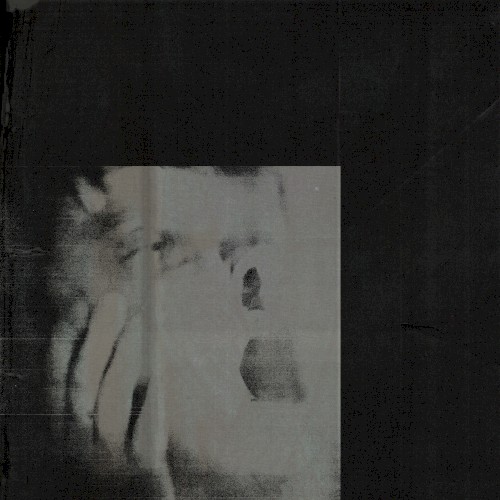 Collection Cover